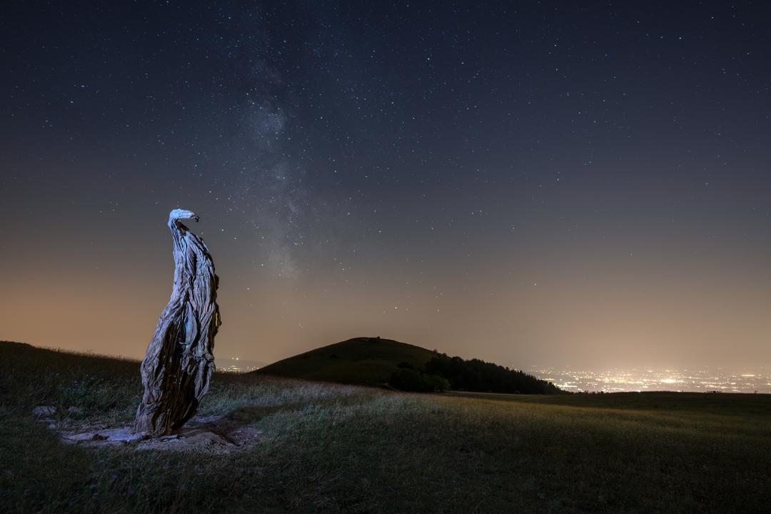 Skulpturen bei Nacht im Park des Monte Subasio