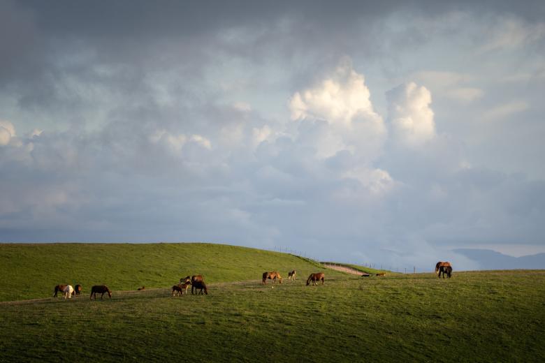  An itinerary on horseback to discover the beauty of Assisi 