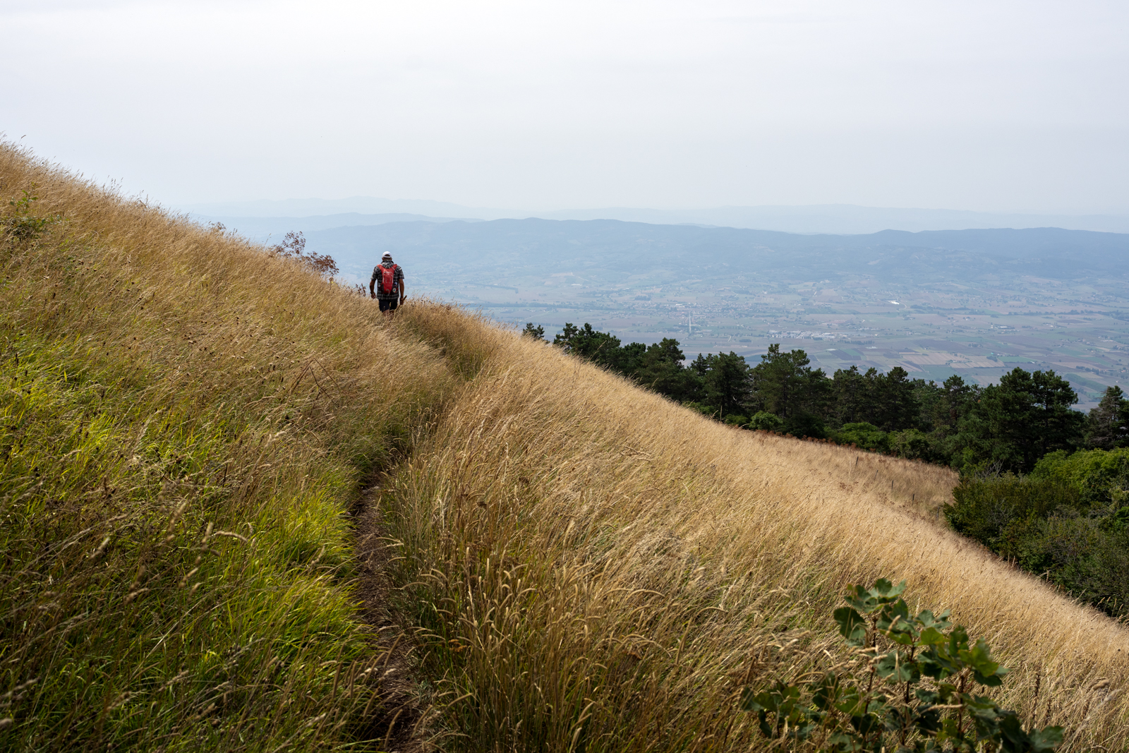 Hiking trail on Monte Subasio